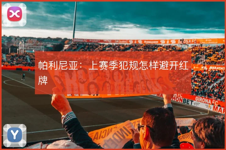 帕利尼亚:上赛季犯规怎样避开红牌