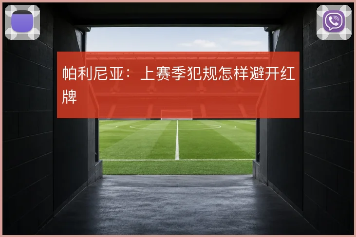 帕利尼亚:上赛季犯规怎样避开红牌