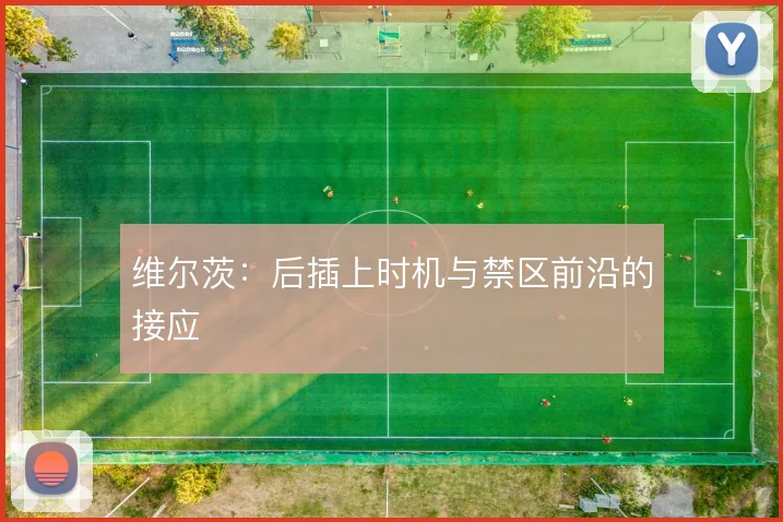 维尔茨:后插上时机与禁区前沿的接应